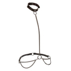 CALEXOTICS - EUPHORIA KETTENHALFTERHALSBAND UND LEINE