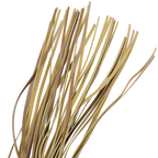 FETISH SUBMISSIVE ORIGEN - VEGANE LEDERPEITSCHE